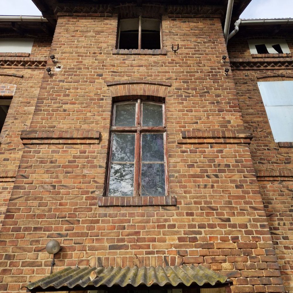 photo_5215612537289172064_y